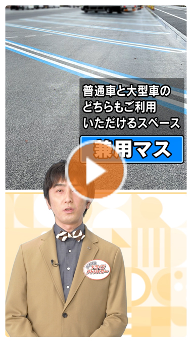 休憩施設駐車場の兼用マスの駐車マナー